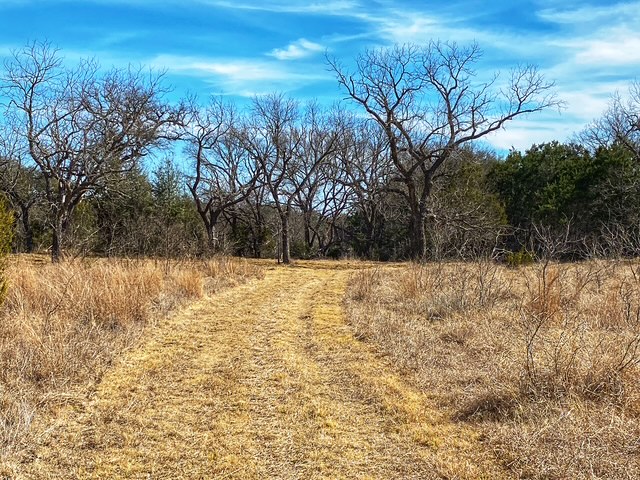 0 County Road 2699 Lometa, TX 76853 - Photo 20 of 35 a view of yard covered with snow