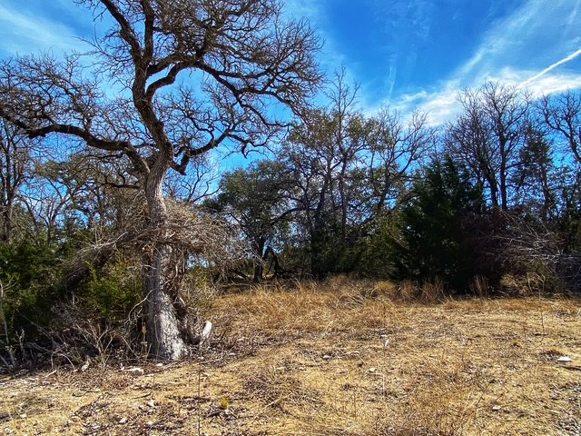 0 County Road 2699 Lometa, TX 76853 - Photo 21 of 35 a view of outdoor space and a yard
