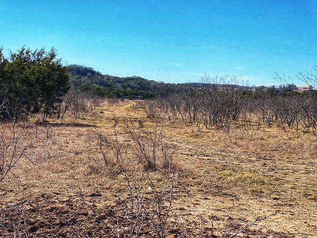0 County Road 2699 Lometa, TX 76853 - Photo 23 of 35