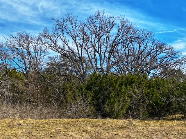 0 County Road 2699 Lometa, TX 76853 - Photo 24 of 35 a view of a water view