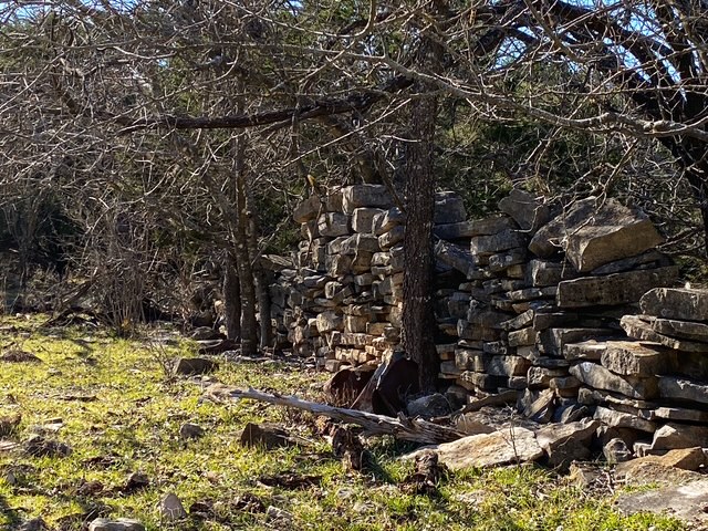 0 County Road 2699 Lometa, TX 76853 - Photo 29 of 35 a view of a yard