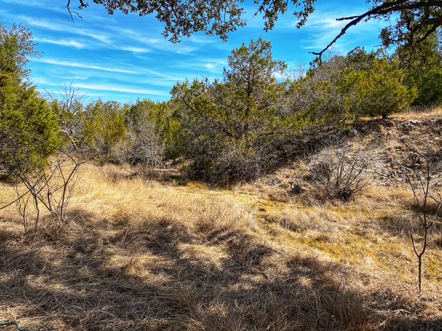 0 County Road 2699 Lometa, TX 76853 - Photo 6 of 35 a view of a yard with large trees