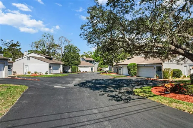 a view of a city with a mountain