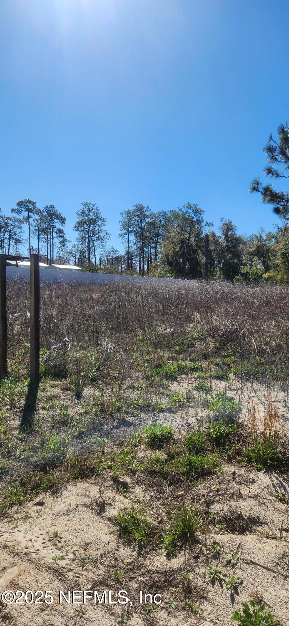 427 River Hill Welaka, FL 32193 - Photo 3 of 15 a view of lake view and mountain view