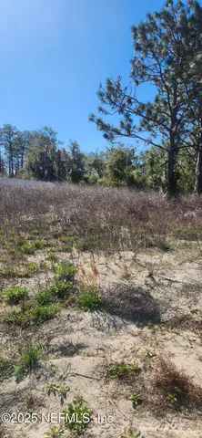 a view of a lake with beach and green space