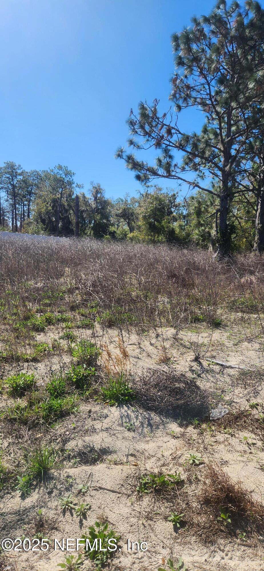 427 River Hill Welaka, FL 32193 - Photo 4 of 15 a view of a lake with beach and green space