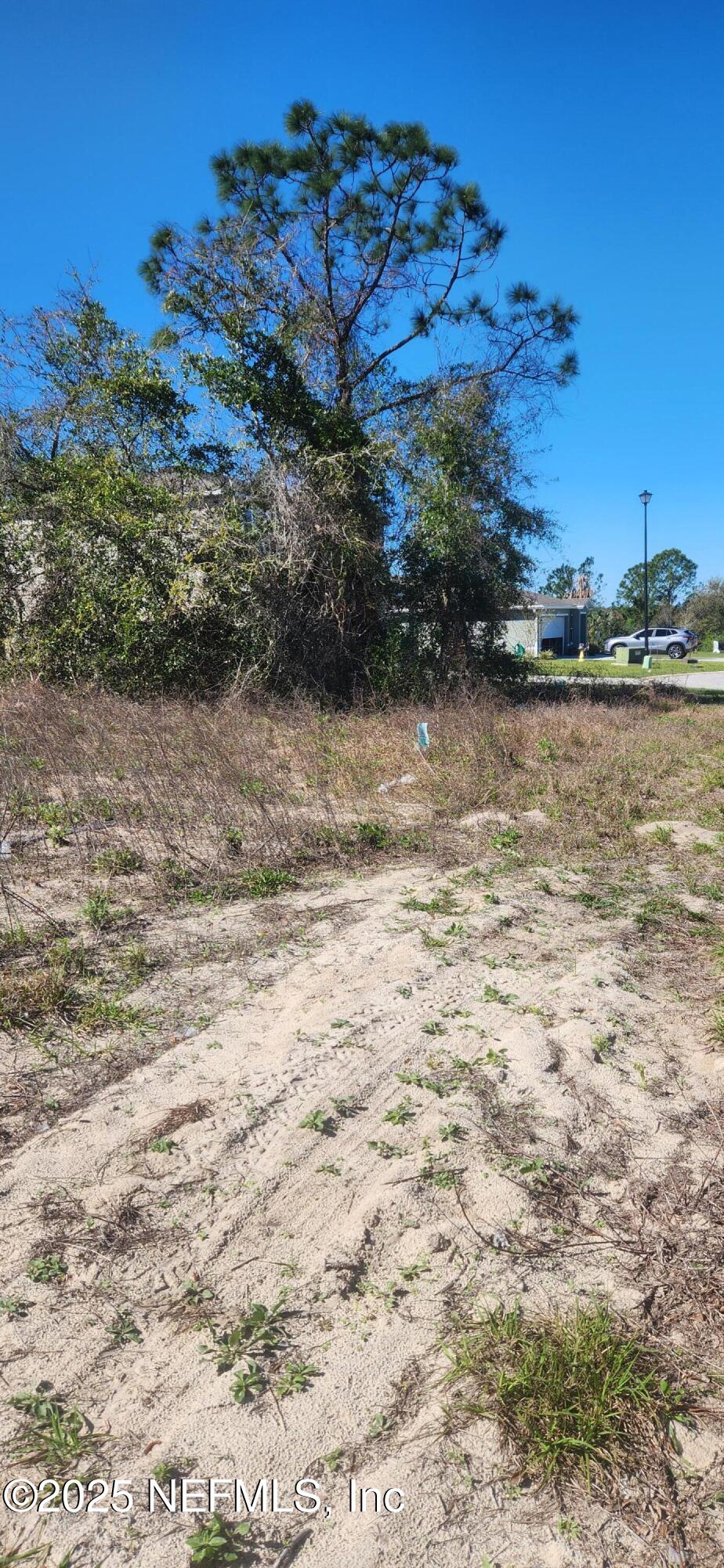 427 River Hill Welaka, FL 32193 - Photo 8 of 15 a view of lake