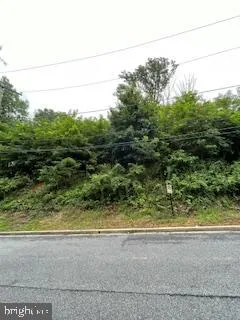 a view of a yard with potted plants