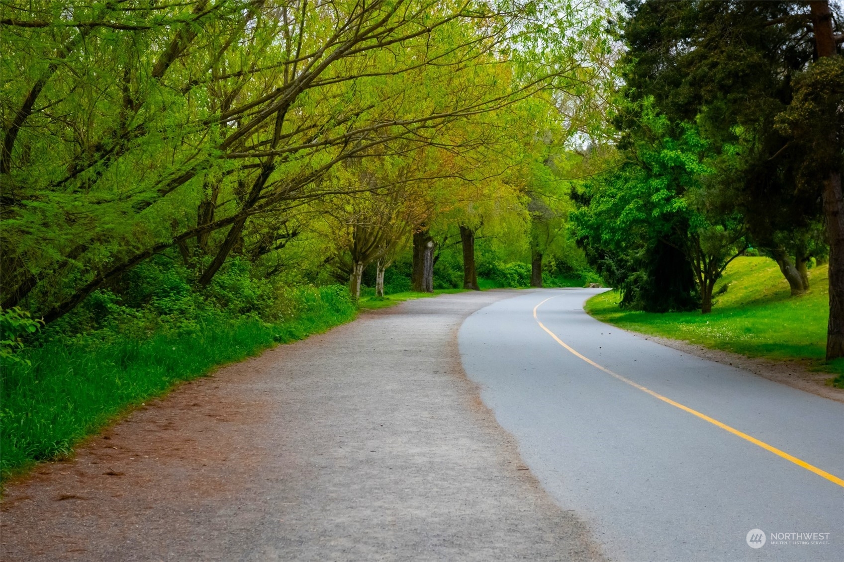 406 Northeast 75th Street Seattle, WA 98115 - Photo 28 of 29 a view of a road with a yard