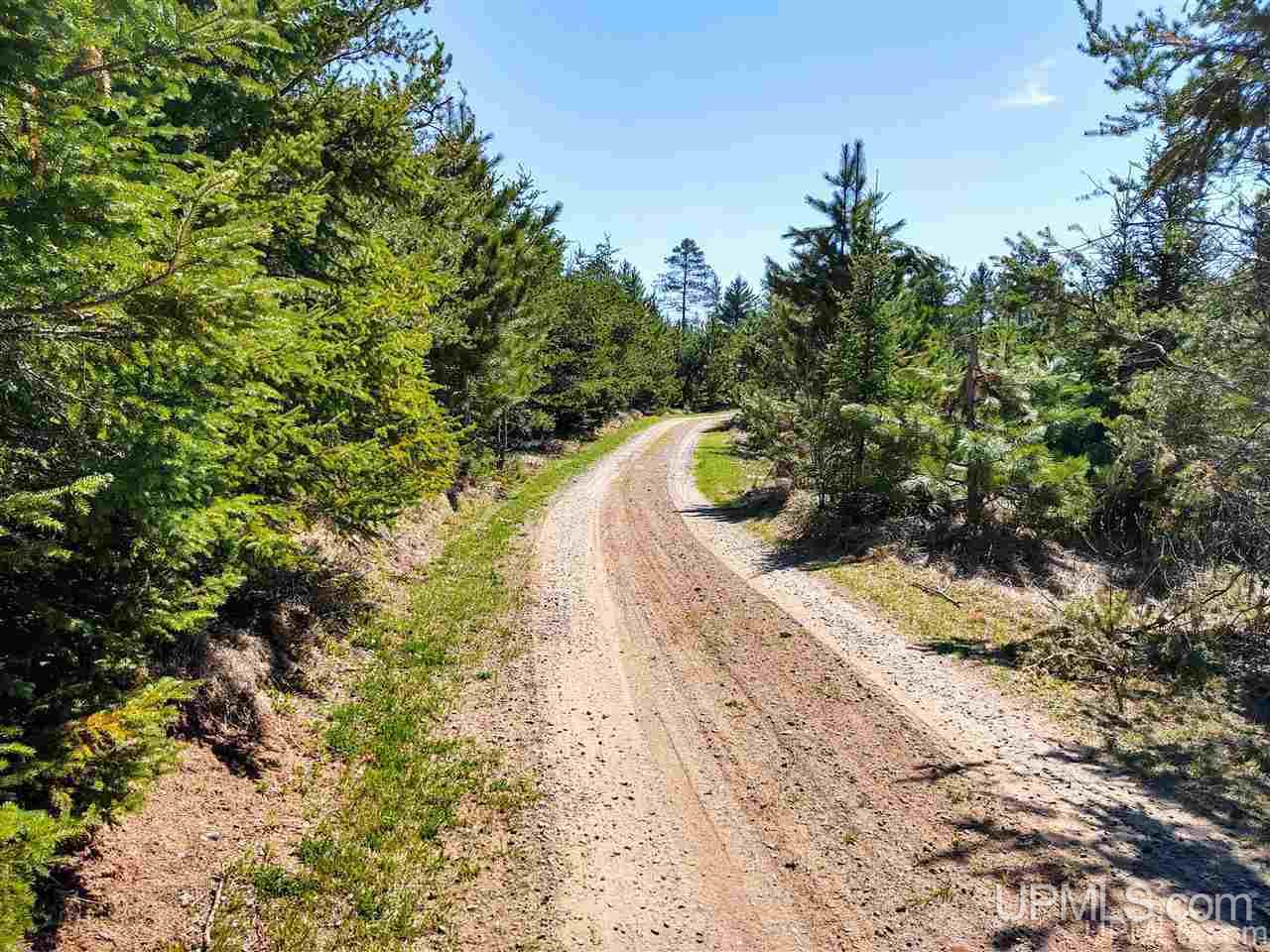 Tbd Forest Hwy 16 Road Iron River, MI 49935 - Photo 2 of 49