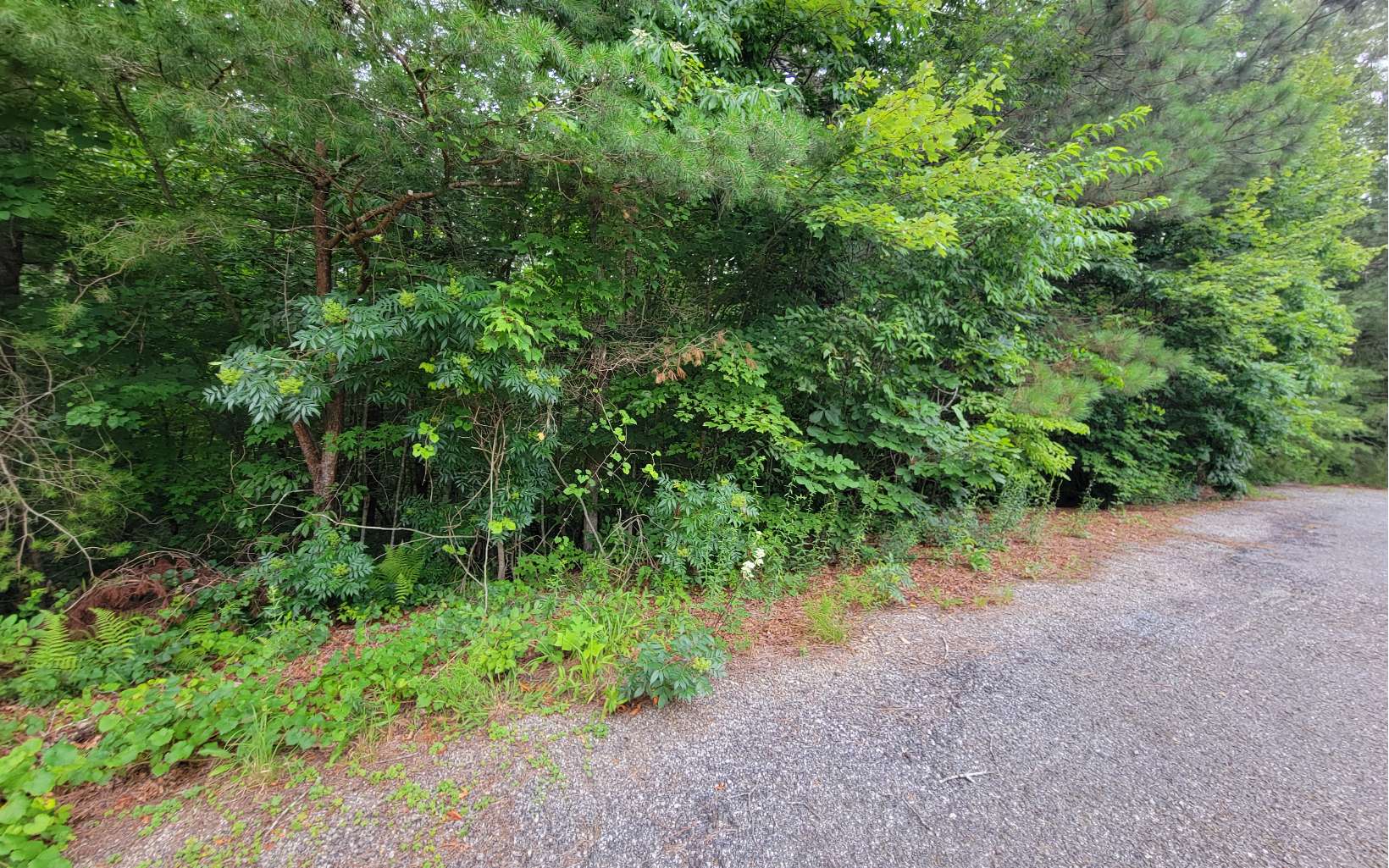 0 Lot 9 Rose Ridge Lane Ellijay, GA 30540 - Photo 8 of 9 Additional View