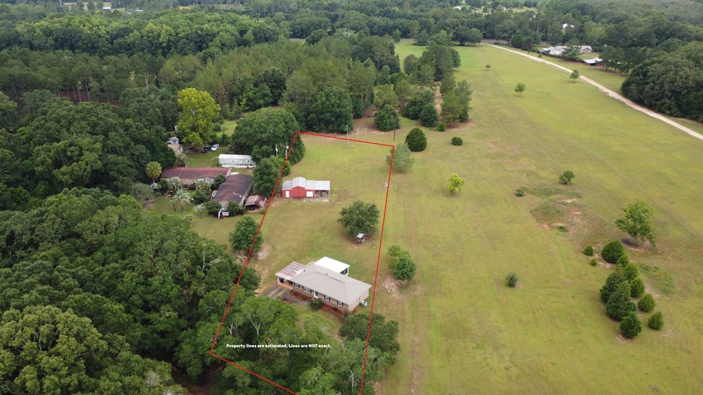 809 Leddon Road Samson, AL 36477 - Photo 3 of 36