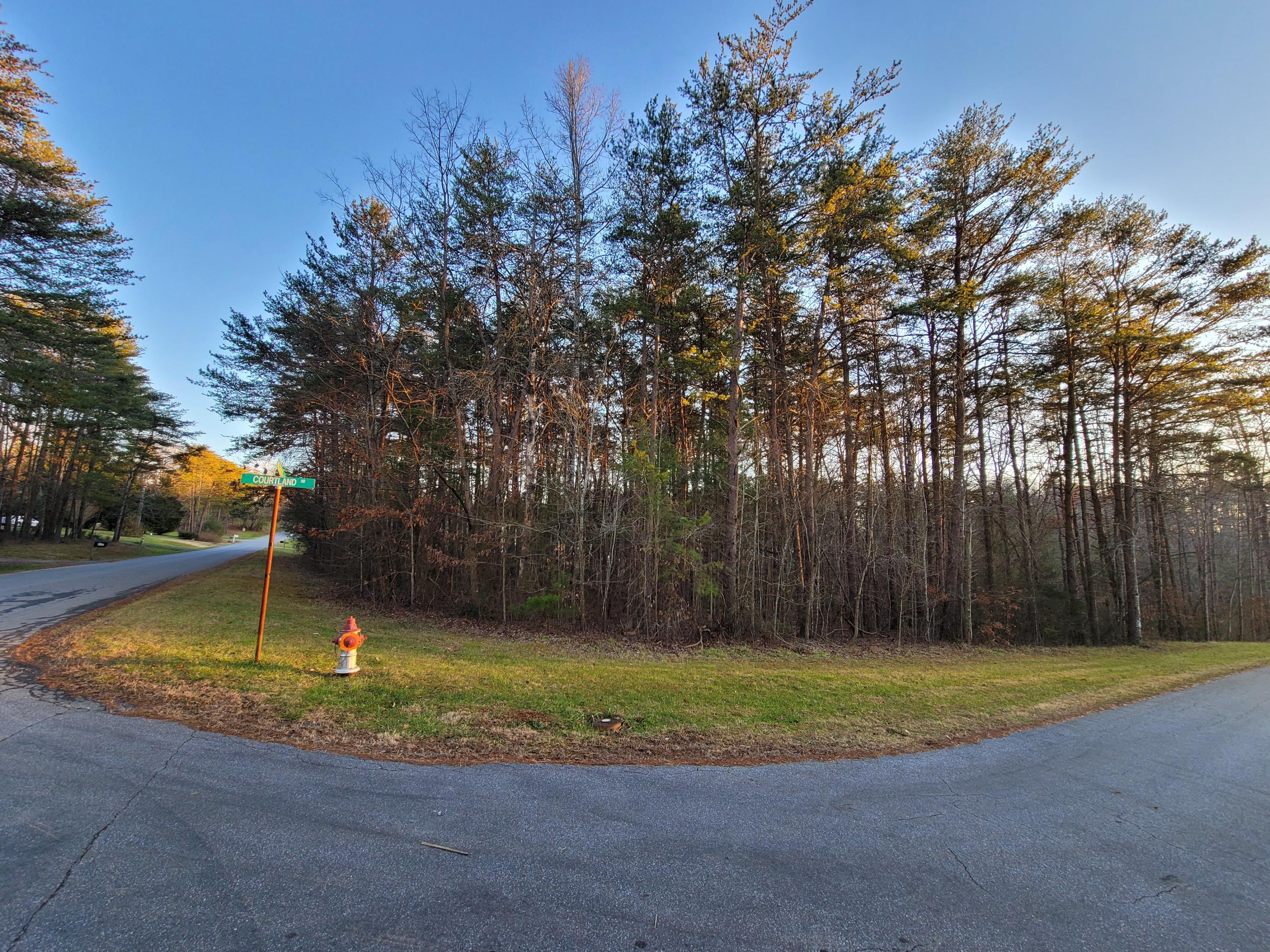 0 Courtland Road Rocky Mount, VA 24151 - Photo 1 of 4 Corner 1.29AC Building Lot