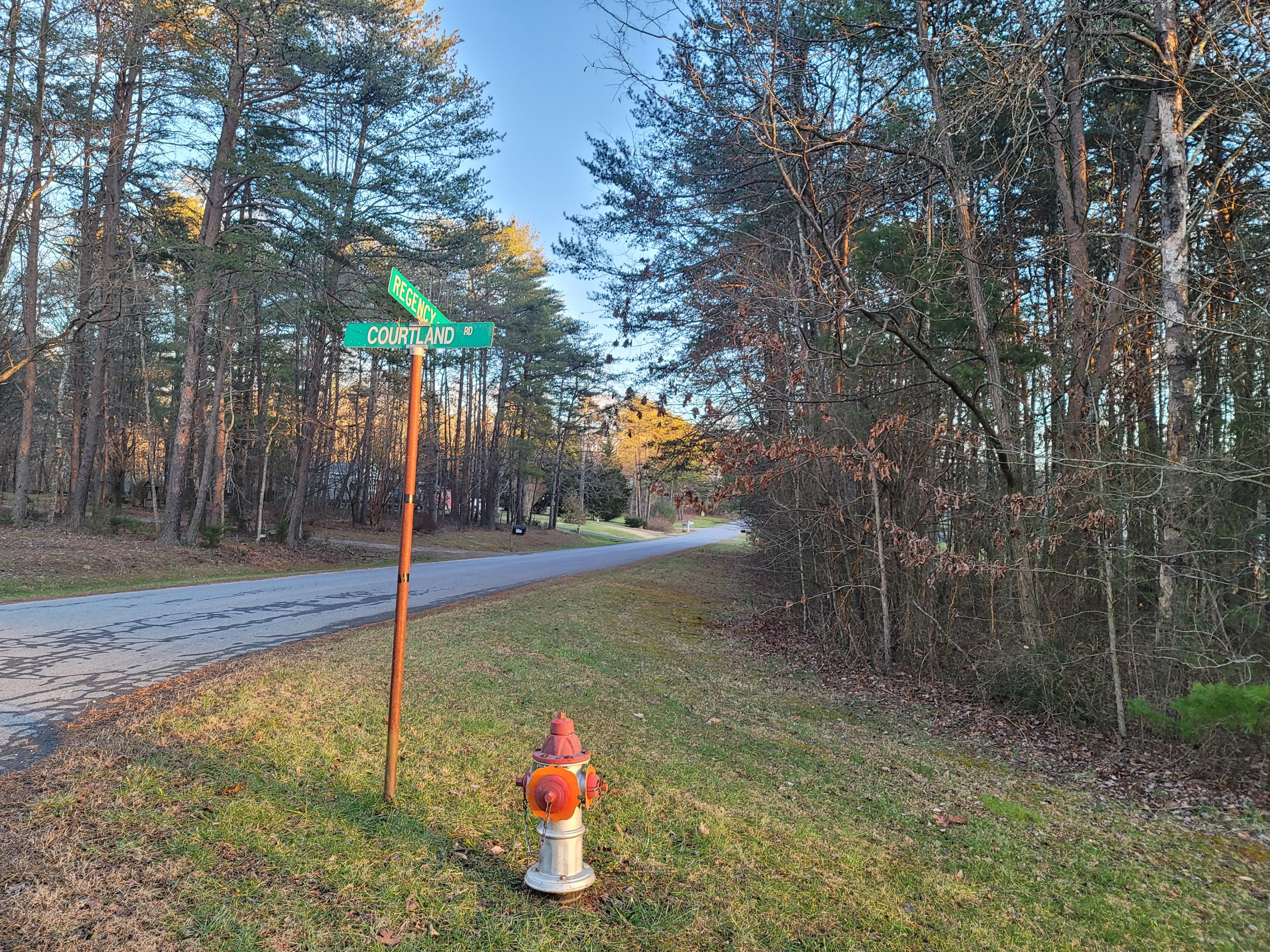 0 Courtland Road Rocky Mount, VA 24151 - Photo 3 of 4 Paved State-Maintained Road