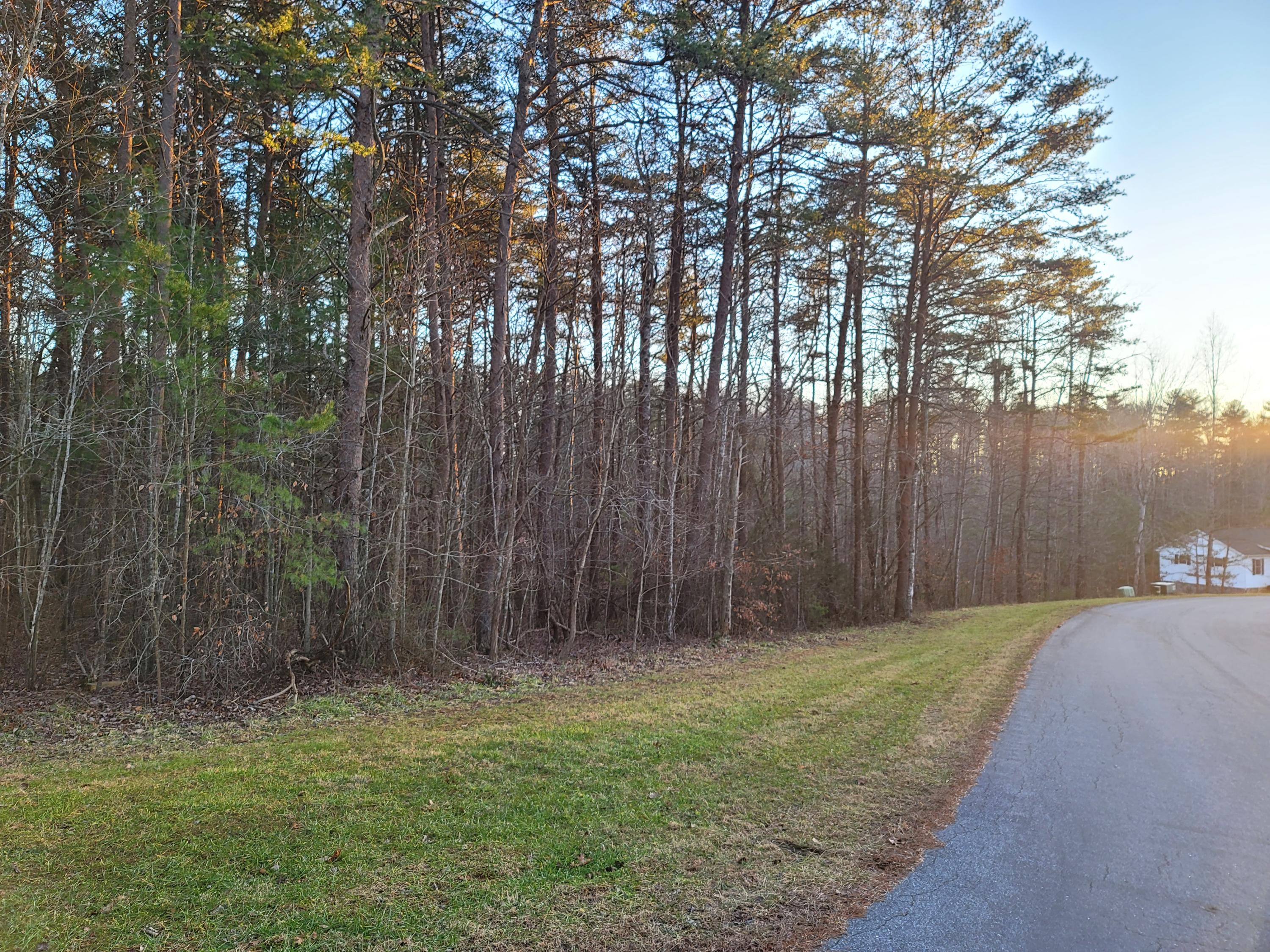 0 Courtland Road Rocky Mount, VA 24151 - Photo 4 of 4 Mostly Wooded Lot