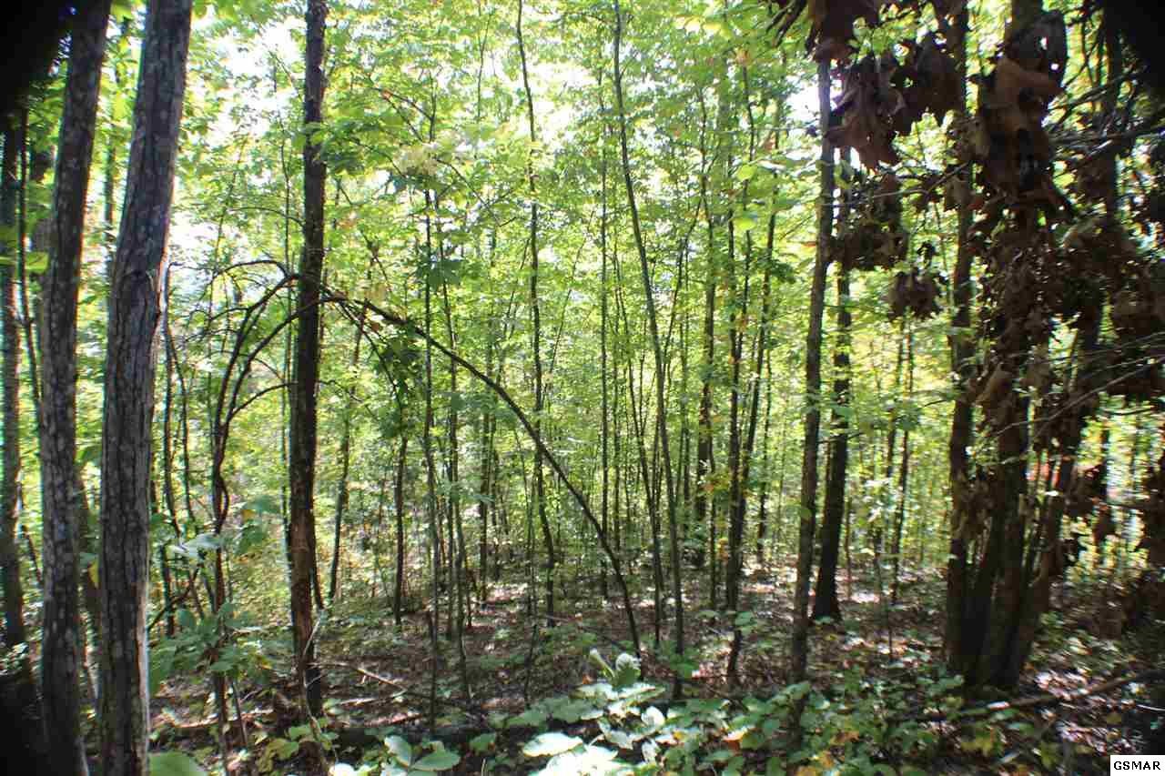 0 Shell Mountain Road Sevierville, TN 37876 - Photo 20 of 26 Gallery Image 20