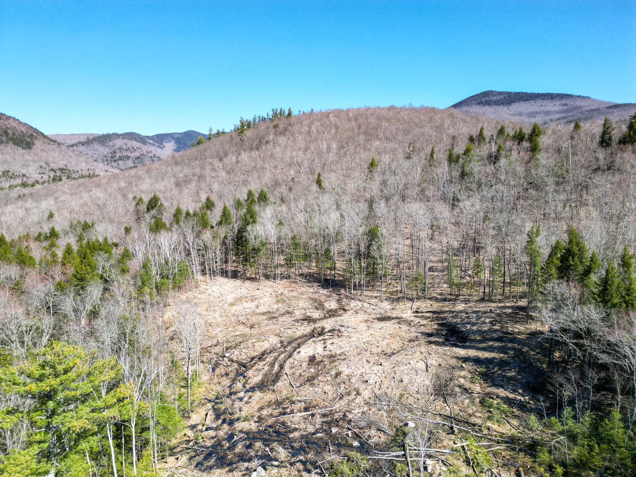 F6 Cave Mountain Road, Unit F6 Glen, NH 03838 - Photo 3 of 11 Gallery Image 3