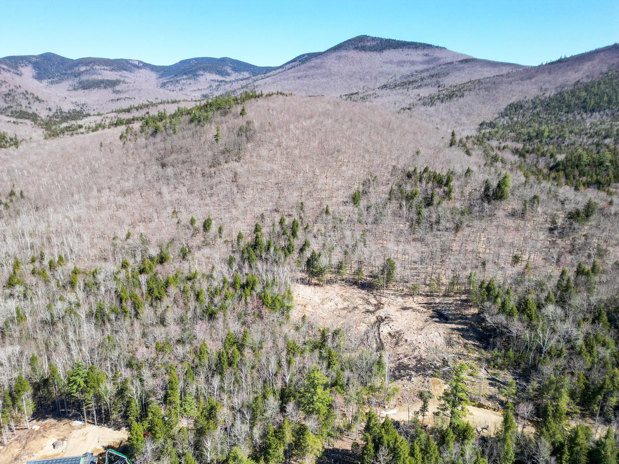 F6 Cave Mountain Road, Unit F6 Glen, NH 03838 - Photo 7 of 11 Gallery Image 7