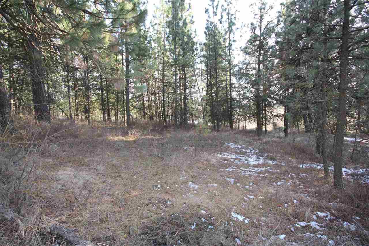0 East Connor Road Valleyford, WA 99036 - Photo 1 of 11