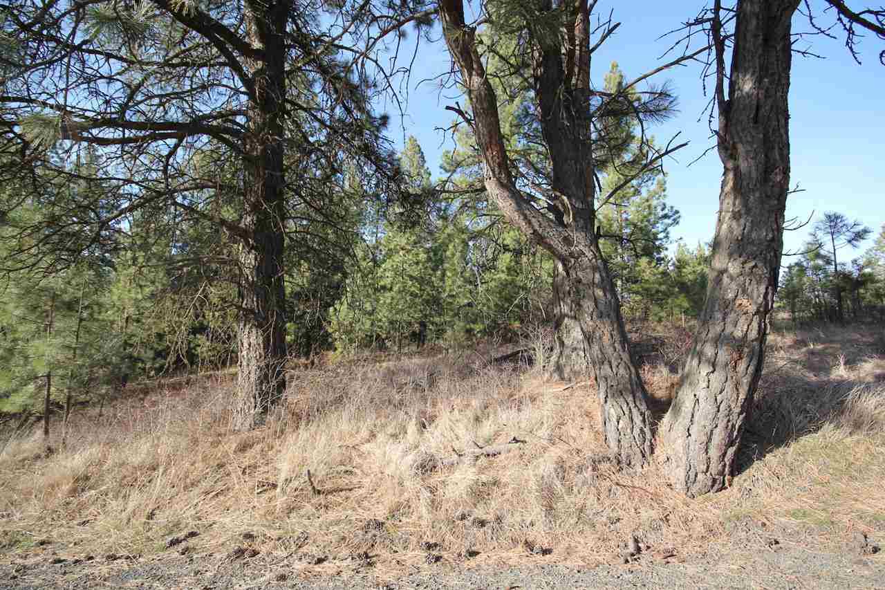 0 East Connor Road Valleyford, WA 99036 - Photo 11 of 11