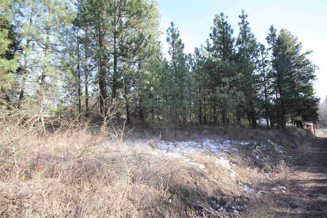 0 East Connor Road Valleyford, WA 99036 - Photo 3 of 11