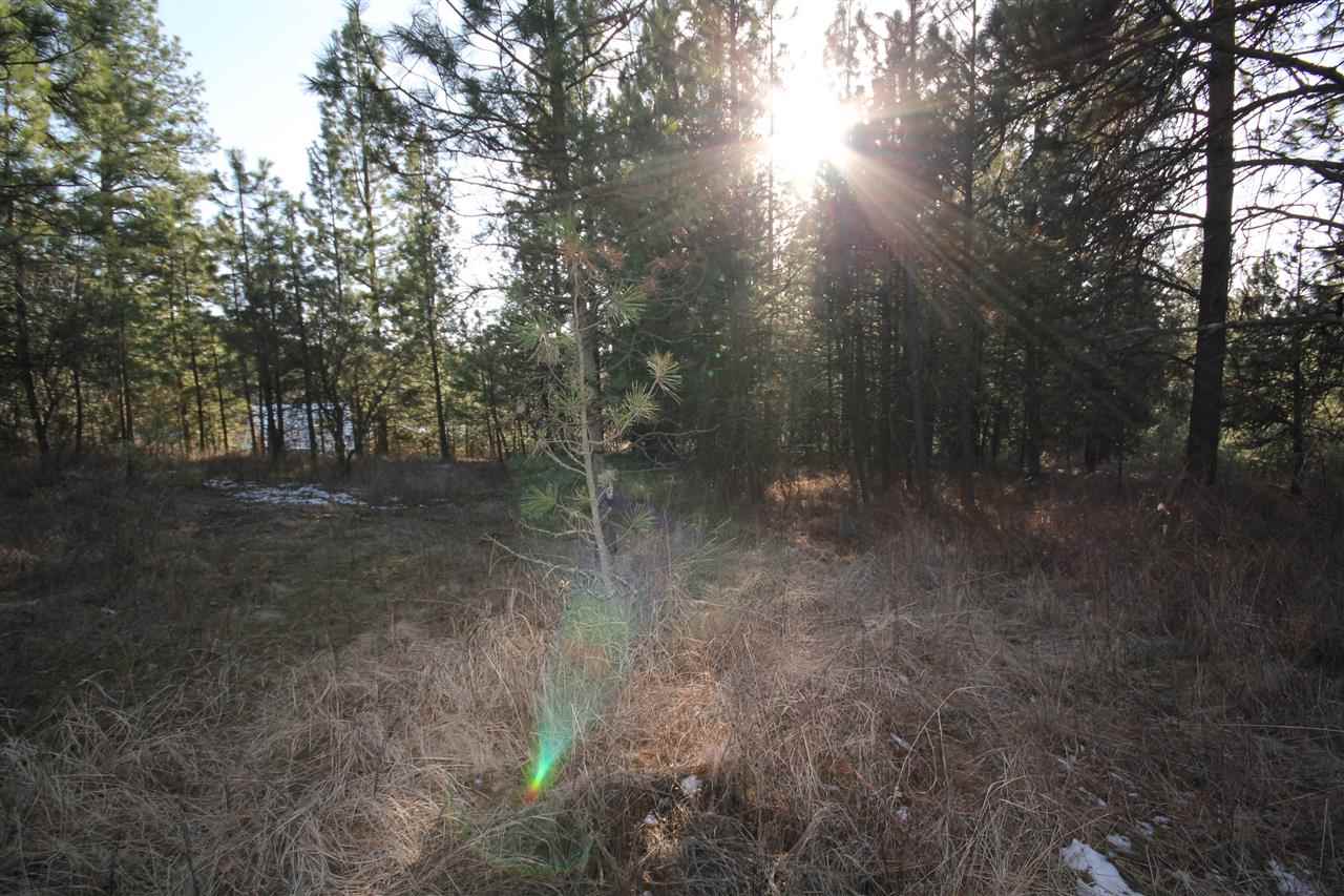 0 East Connor Road Valleyford, WA 99036 - Photo 4 of 11
