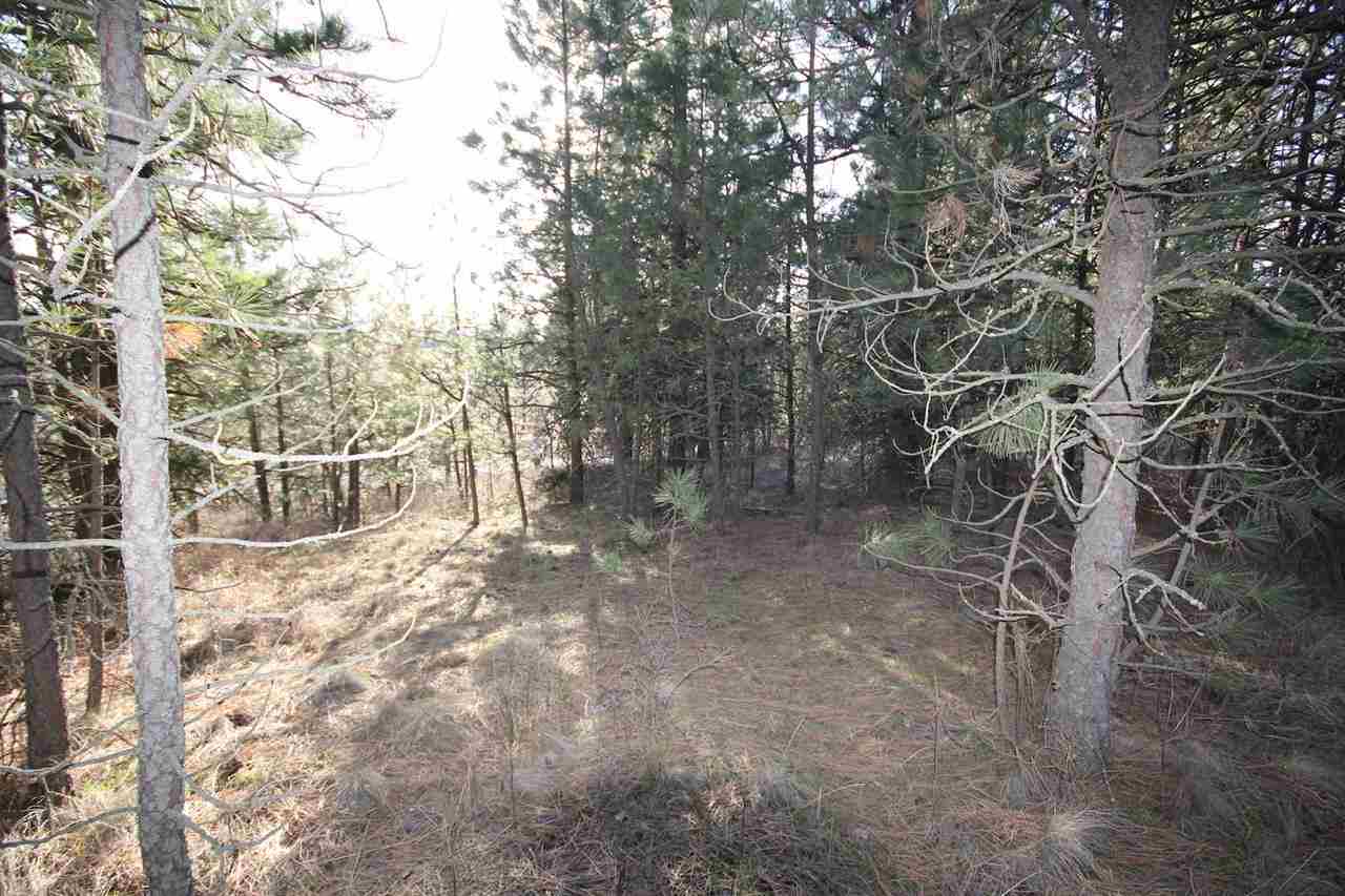 0 East Connor Road Valleyford, WA 99036 - Photo 7 of 11