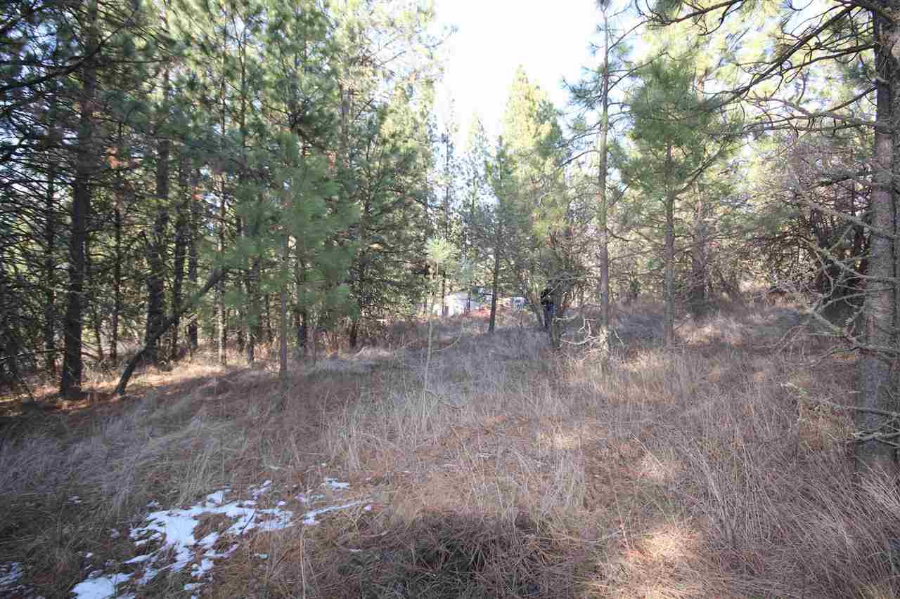 0 East Connor Road Valleyford, WA 99036 - Photo 9 of 11