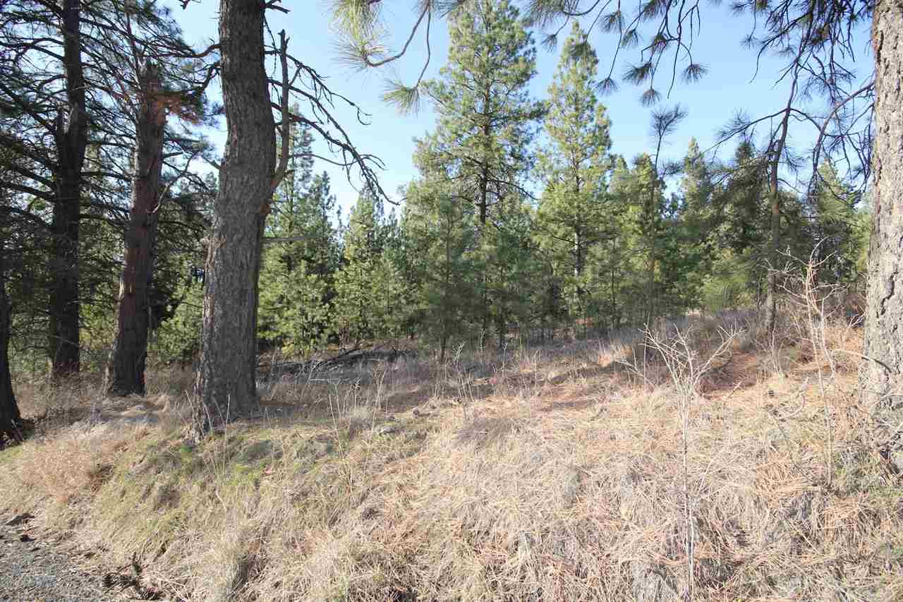 0 East Connor Road Valleyford, WA 99036 - Photo 10 of 11