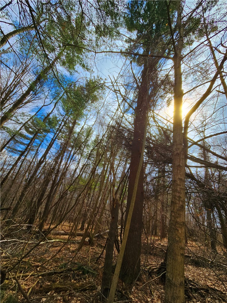 2130 Guyanoga Road Jerusalem, NY 14527 - Photo 18 of 26