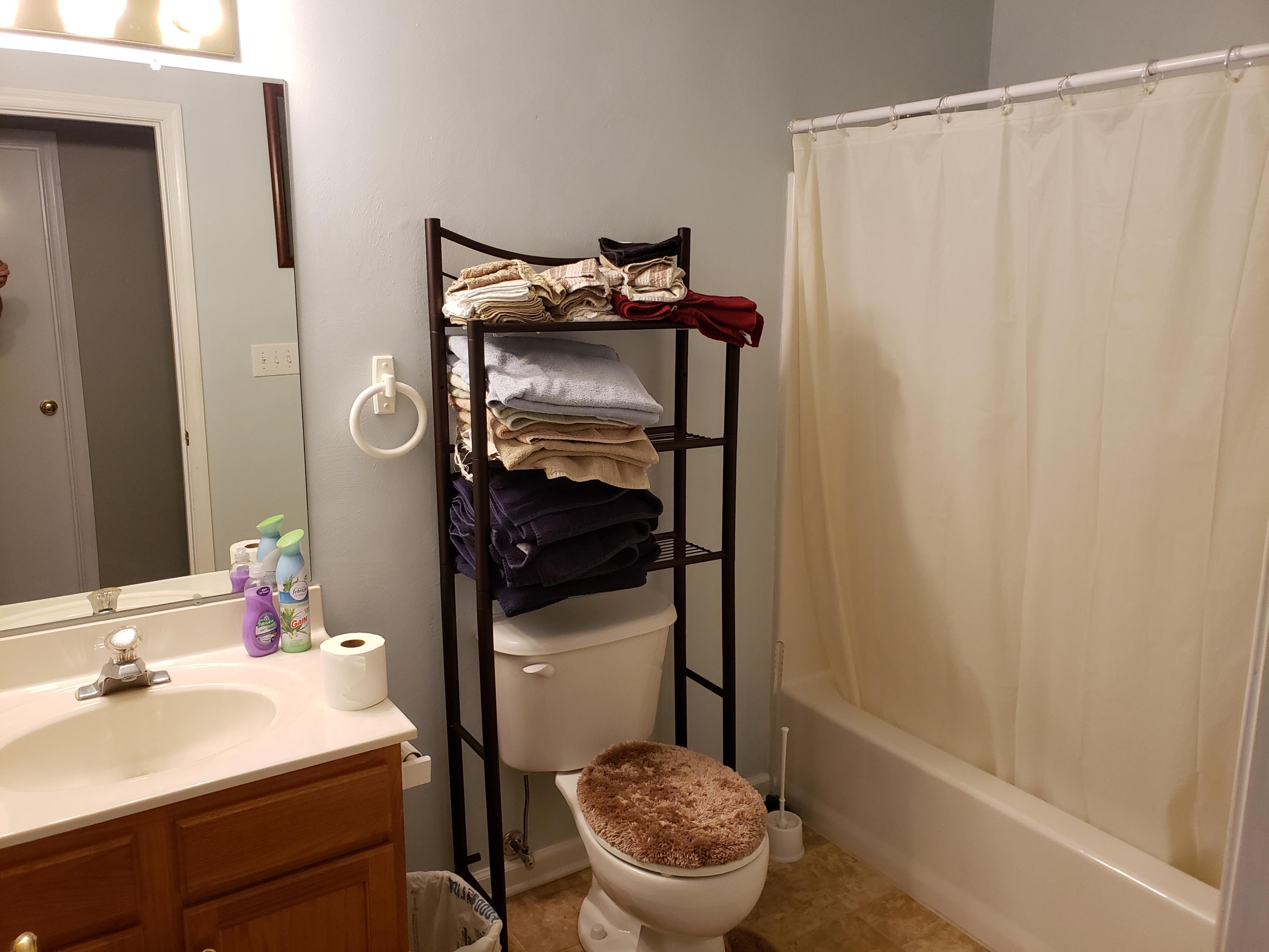 3379 Phelps Road Bedford, VA 24523 - Photo 11 of 31 Hall Bath
