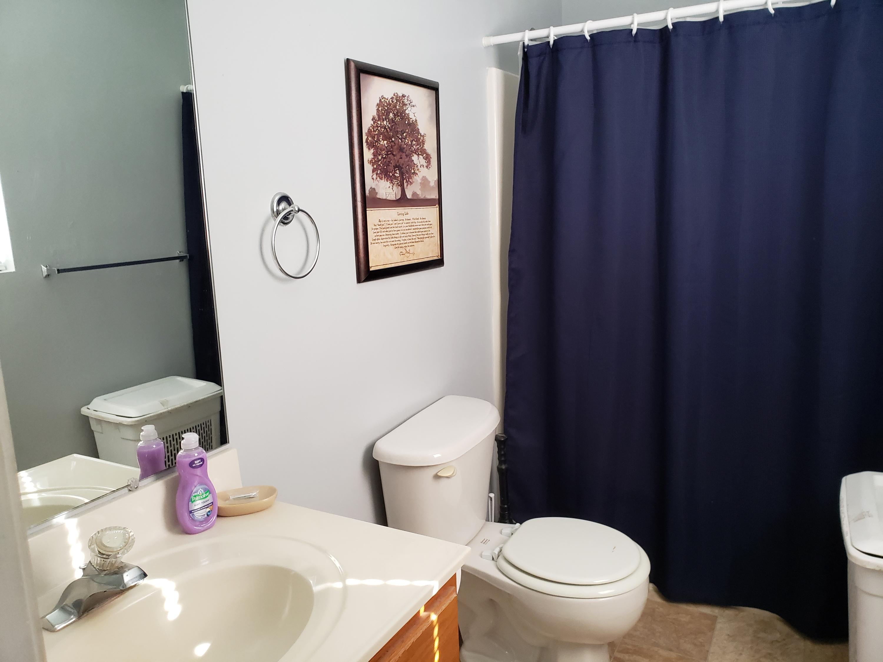 3379 Phelps Road Bedford, VA 24523 - Photo 17 of 31 Master Bath
