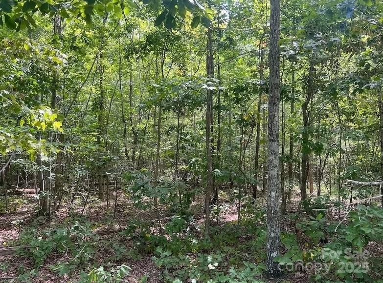 0 Blue Branch Road, Unit TRACT B Gaffney, SC 29340 - Photo 11 of 11 a view of a yard with plants and large trees