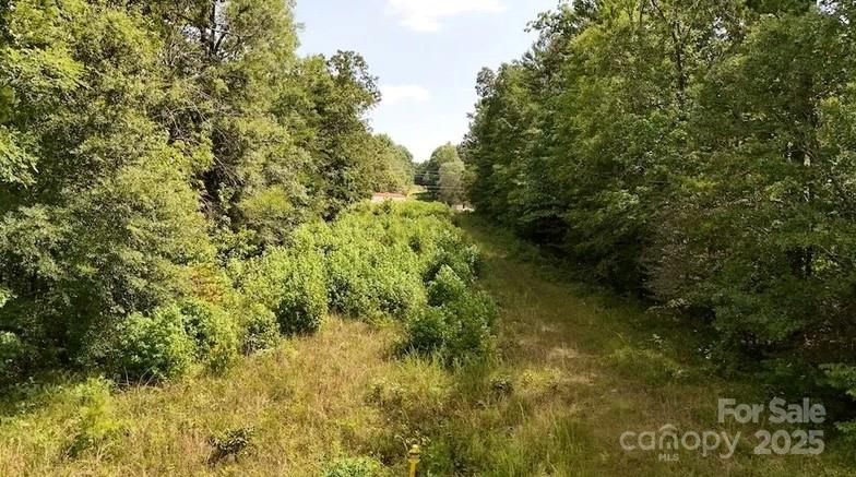 0 Blue Branch Road, Unit TRACT B Gaffney, SC 29340 - Photo 4 of 11