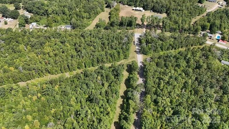 0 Blue Branch Road, Unit TRACT B Gaffney, SC 29340 - Photo 5 of 11 a view of a lush green forest with lots of trees