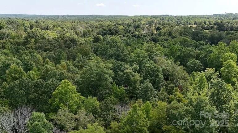 0 Blue Branch Road, Unit TRACT B Gaffney, SC 29340 - Photo 7 of 11 a view of a forest with a street