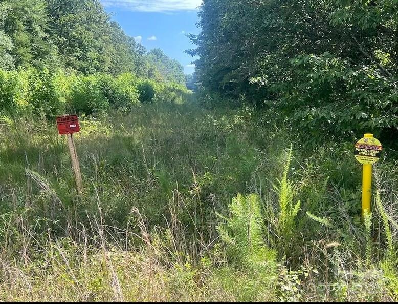 0 Blue Branch Road, Unit TRACT B Gaffney, SC 29340 - Photo 8 of 11 a fire hydrant in the middle of a field