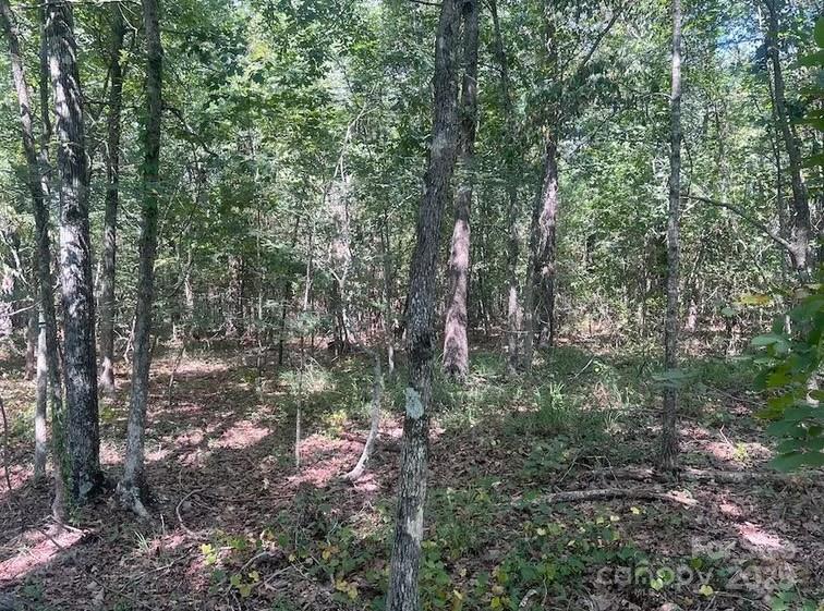0 Blue Branch Road, Unit TRACT B Gaffney, SC 29340 - Photo 9 of 11 a view of forest