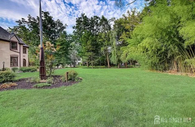 a view of a park with large trees