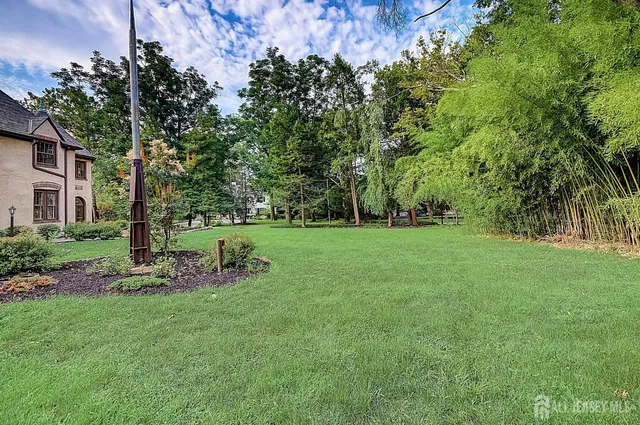 a view of a park with large trees