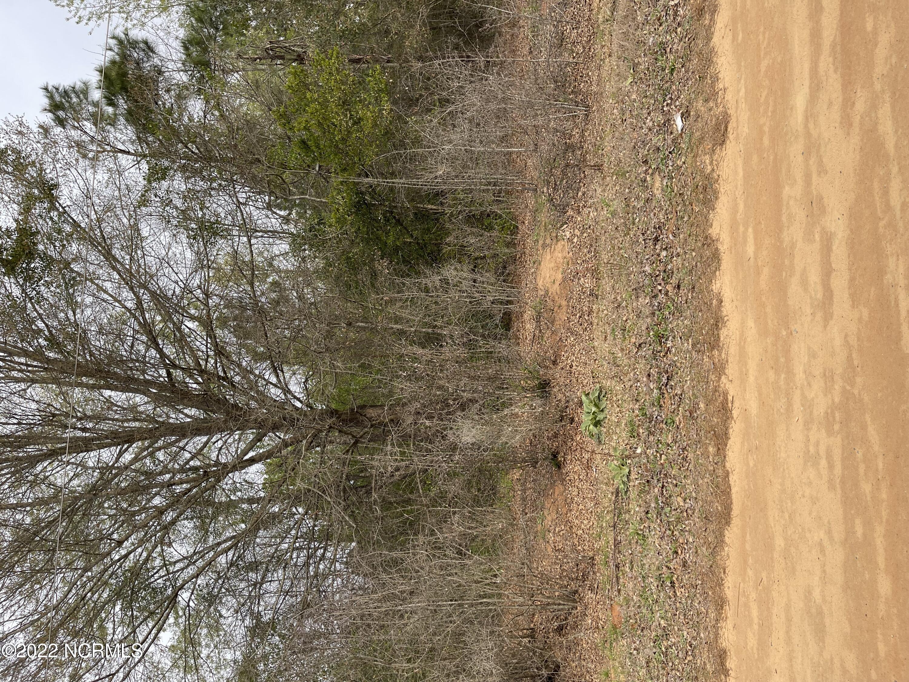 Tbd Gattis Street Rockingham, NC 28379 - Photo 1 of 1 wooded