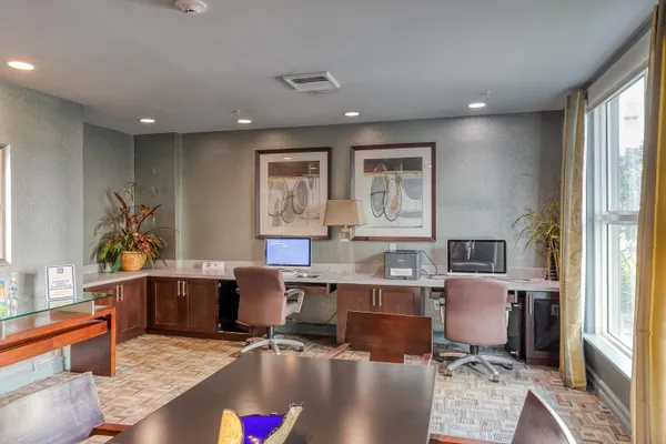 a view of a garden with plants