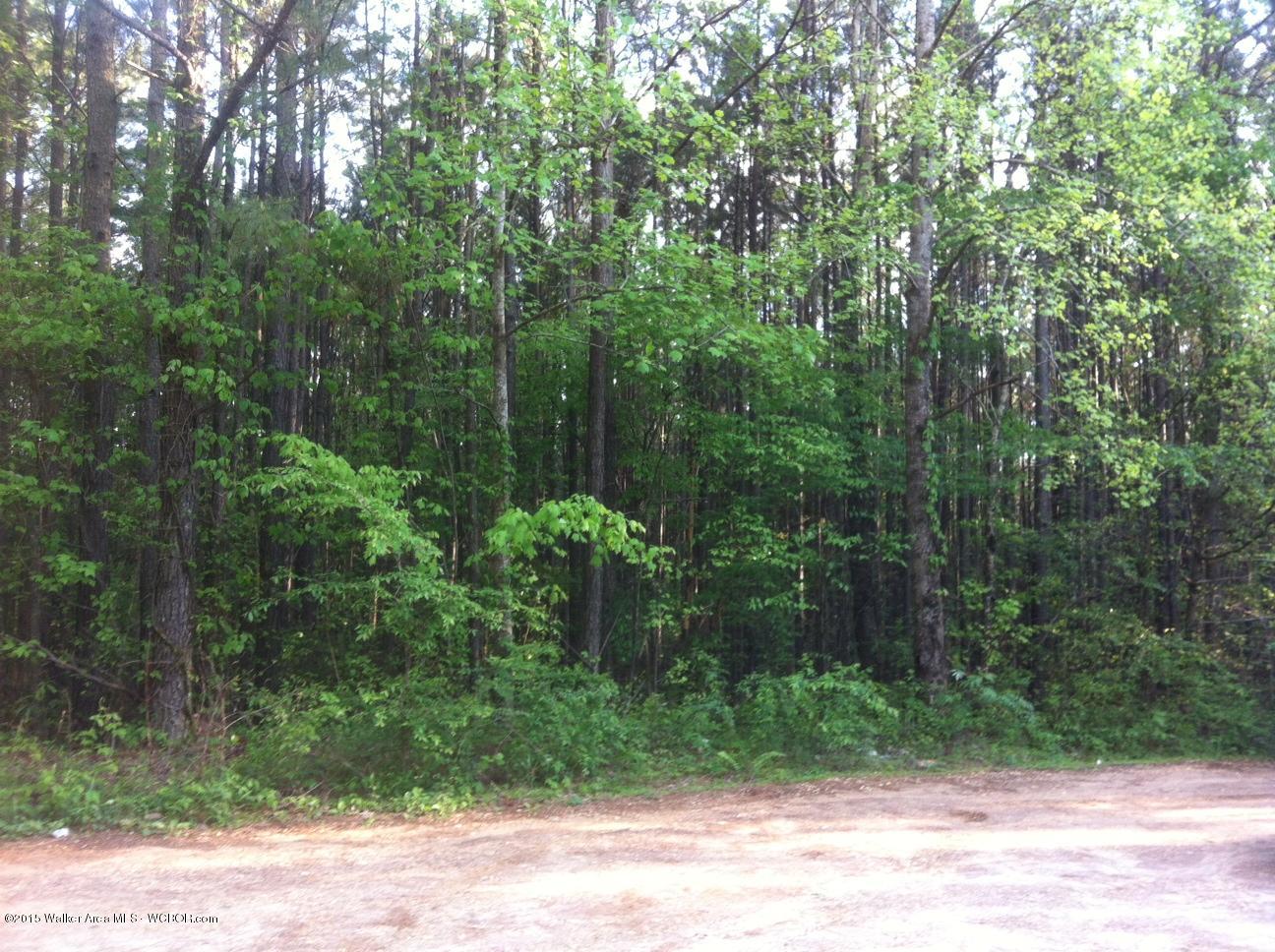 630 Co Road Addison, AL 35540 - Photo 5 of 8 Gallery Image 5