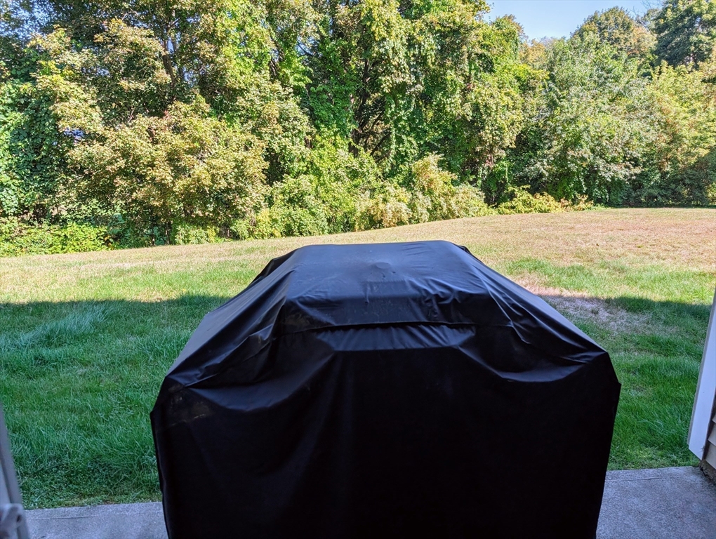 24 Charles Street, Unit 10 Douglas, MA 01516 - Photo 25 of 35 a view of under a small yard