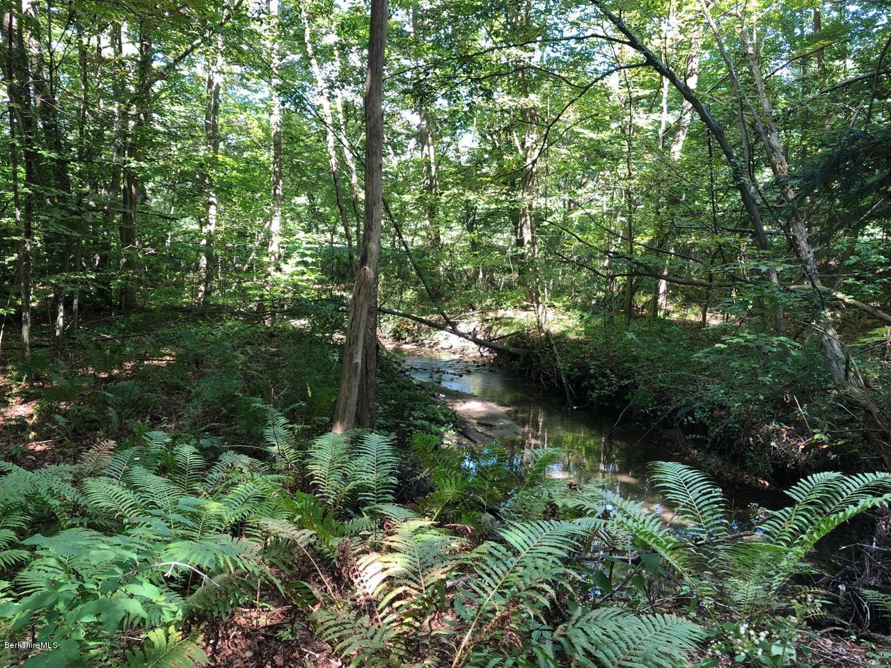 83 Pine Knoll Road Lenox, MA 01240 - Photo 7 of 32 a view of a forest with lots of trees
