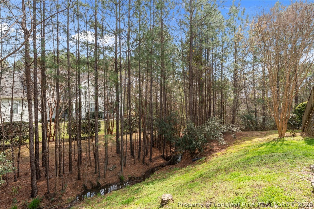 126 Pine Hawk Drive Spring Lake, NC 28390 - Photo 31 of 48