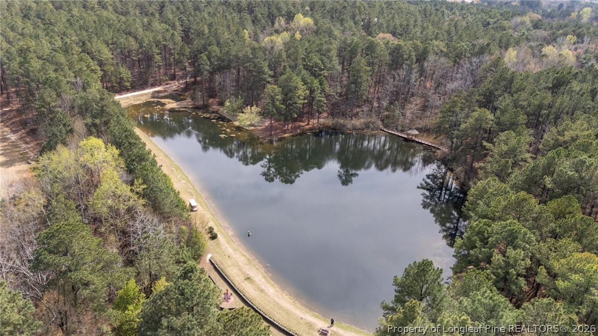 126 Pine Hawk Drive Spring Lake, NC 28390 - Photo 36 of 48