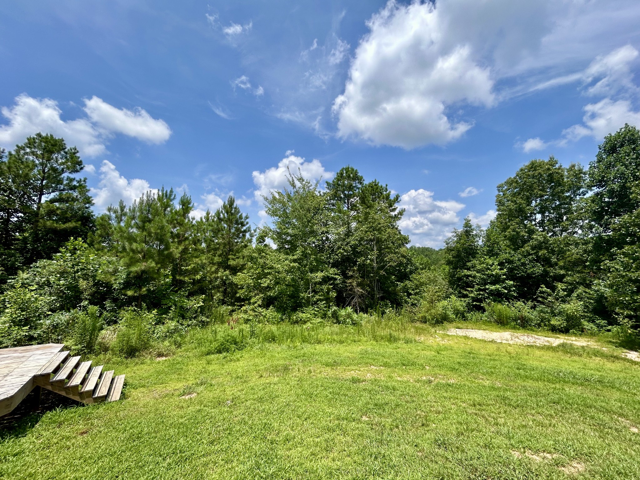 443 Sickler Road Hohenwald, TN 38462 - Photo 27 of 33 a backyard of a house with lots of green space
