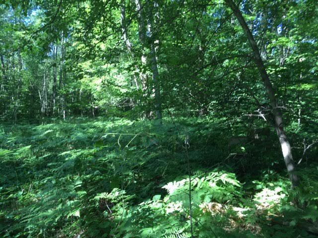 0 West Kittle Road Mio, MI 48647 - Photo 6 of 8 Gallery Image 6