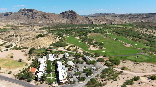a view of a wooden floor with a mountain in the background